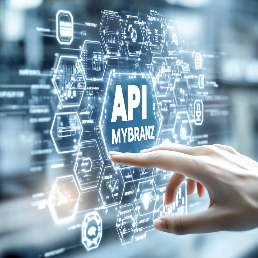 plataforma-conexion-api conexion API